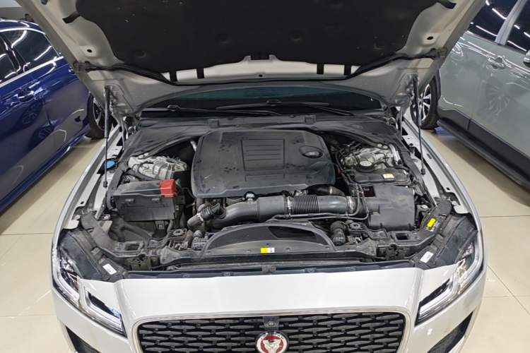 Used Jaguar XFL 2024 2.0T P250 Two-Wheel Drive Prestige Luxury Edition Engine Bay