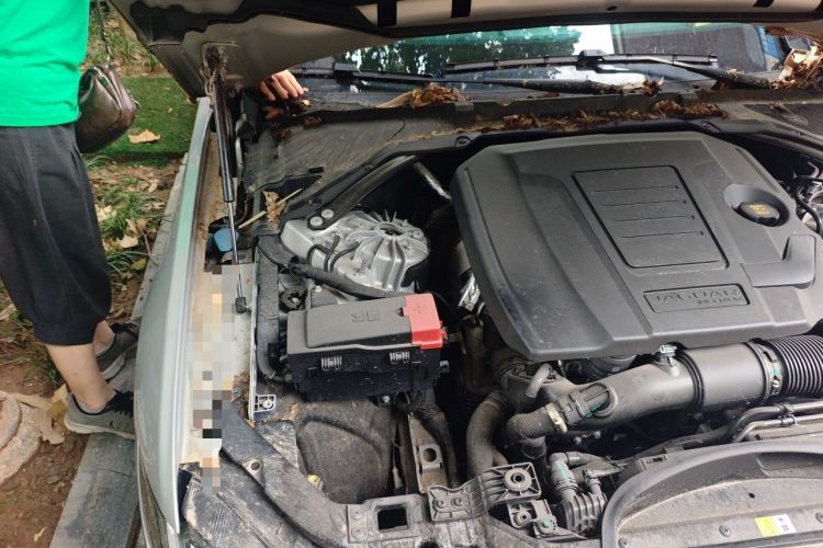 Used Jaguar XFL 2024 2.0T P250 Two-Wheel Drive Prestige Luxury Edition Engine Bay Right