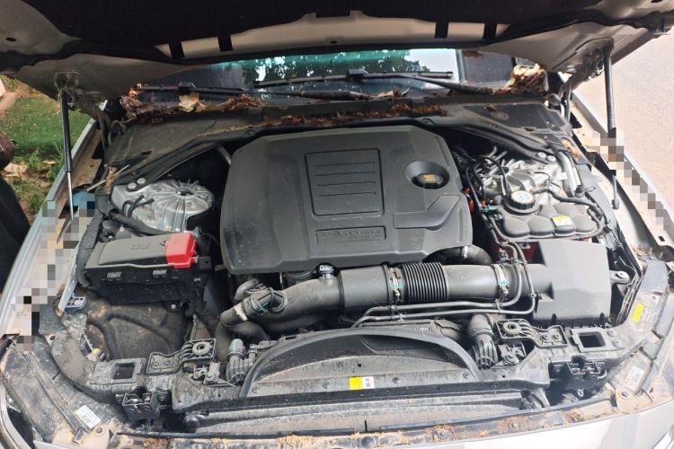 Used Jaguar XFL 2024 2.0T P250 Two-Wheel Drive Prestige Luxury Edition Engine Bay