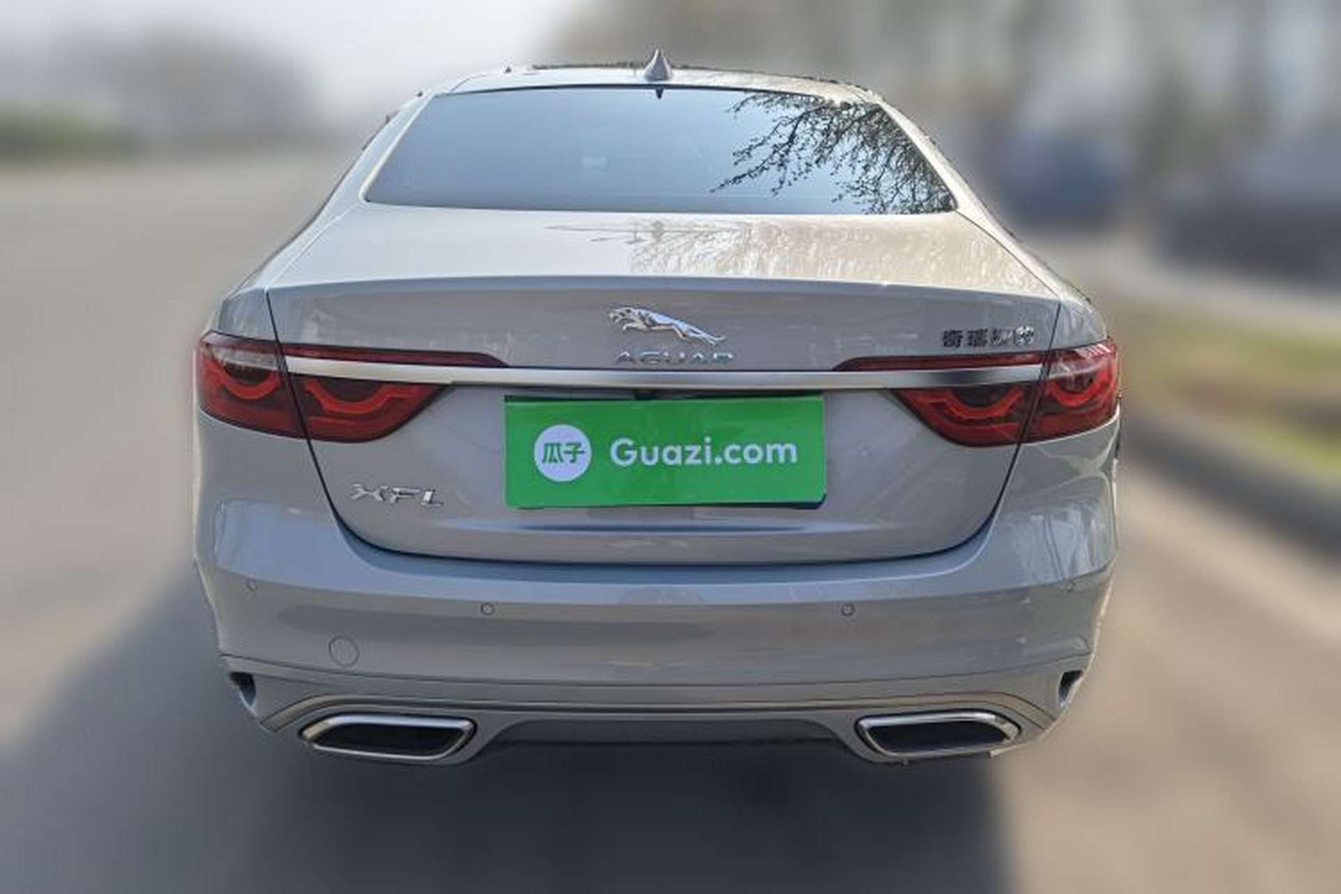 Used Jaguar XFL 2024 2.0T P250 Two-Wheel Drive Prestige Luxury Edition Rear