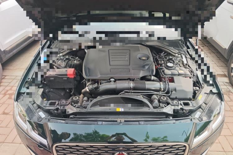 Used Jaguar XFL 2024 2.0T P250 Two-Wheel Drive Prestige Luxury Edition Engine Bay