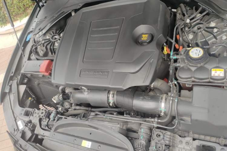 Used Jaguar XFL 2024 2.0T P250 Two-Wheel Drive Prestige Luxury Edition Engine Bay