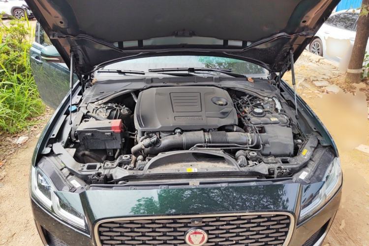 Used Jaguar XFL 2024 2.0T P250 Two-Wheel Drive Prestige Luxury Edition Engine Bay