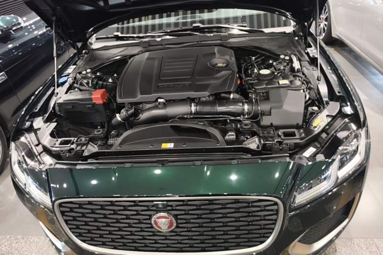 Used Jaguar XFL 2024 2.0T P250 Two-Wheel Drive Prestige Luxury Edition Engine Bay