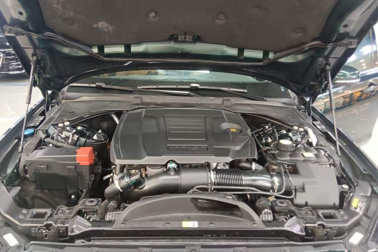 Used Jaguar XFL 2024 2.0T P250 Two-Wheel Drive Prestige Luxury Edition Engine Bay