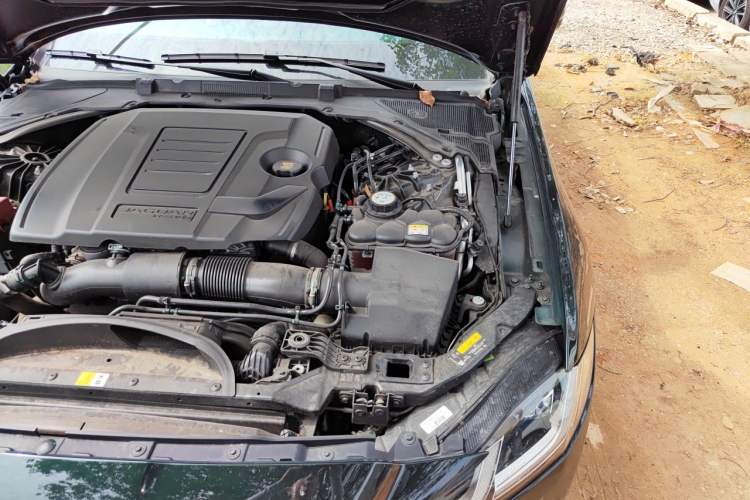 Used Jaguar XFL 2024 2.0T P250 Two-Wheel Drive Prestige Luxury Edition Engine Bay Left