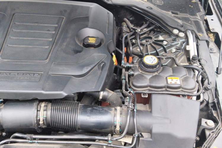 Used Jaguar XFL 2024 2.0T P250 Two-Wheel Drive Prestige Luxury Edition Engine Bay Left
