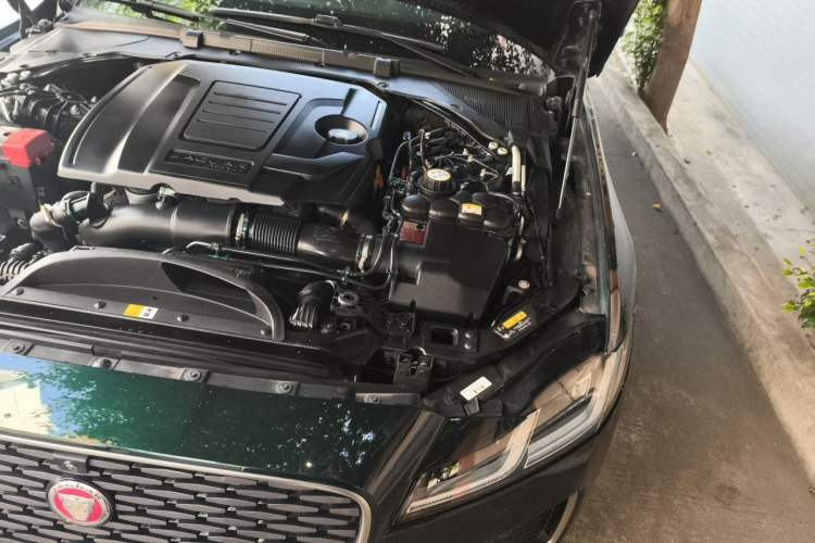 Used Jaguar XFL 2024 2.0T P250 Two-Wheel Drive Prestige Luxury Edition Engine Bay Left