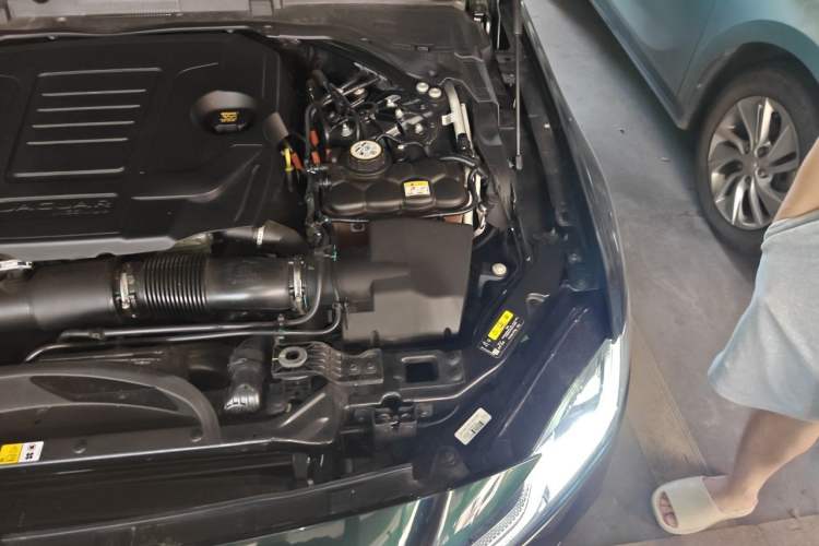 Used Jaguar XFL 2024 2.0T P250 Two-Wheel Drive Prestige Luxury Edition Engine Bay Left