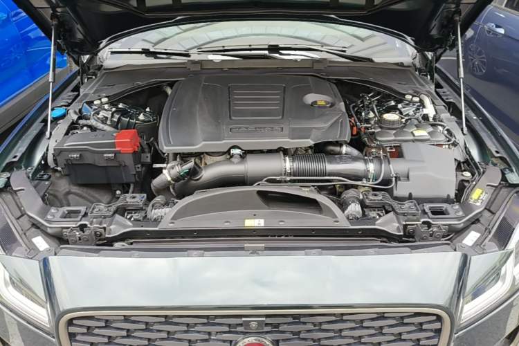 Used Jaguar XFL 2024 2.0T P250 Two-Wheel Drive Prestige Luxury Edition Engine Bay