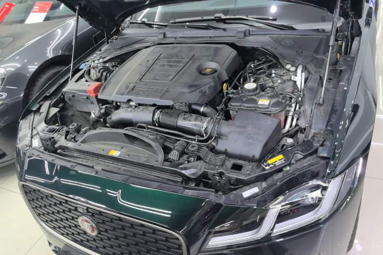 Used Jaguar XFL 2024 2.0T P250 Two-Wheel Drive Prestige Luxury Edition Engine Bay