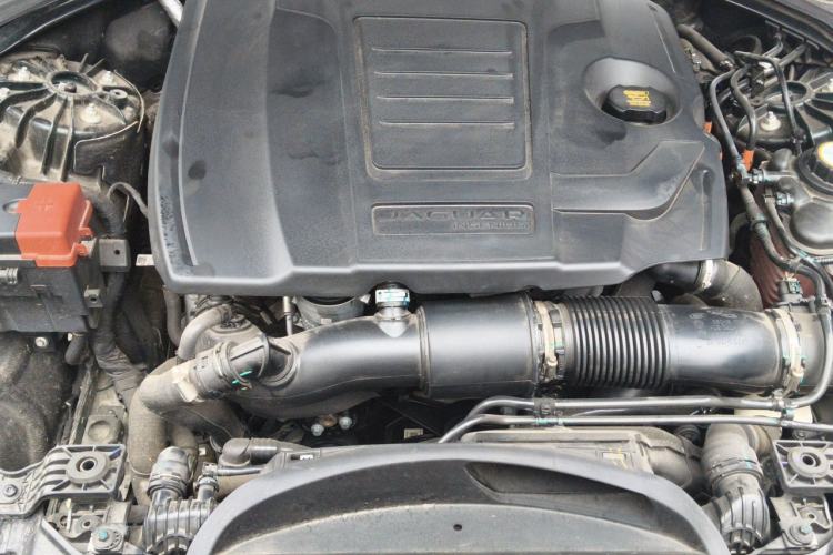 Used Jaguar XFL 2024 2.0T P250 Two-Wheel Drive Prestige Luxury Edition Engine Bay