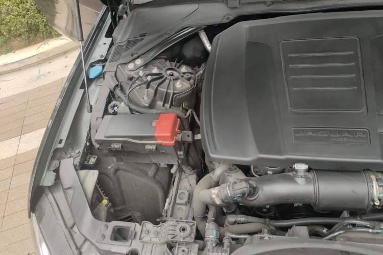 Used Jaguar XFL 2024 2.0T P250 Two-Wheel Drive Prestige Luxury Edition Engine Bay Right