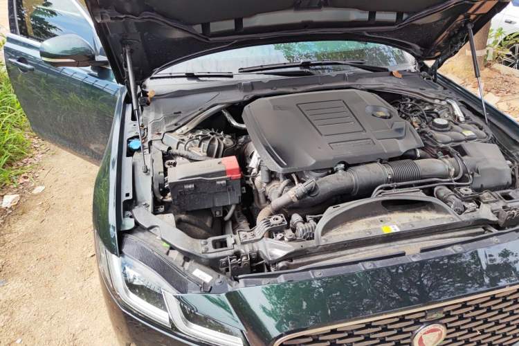 Used Jaguar XFL 2024 2.0T P250 Two-Wheel Drive Prestige Luxury Edition Engine Bay Right