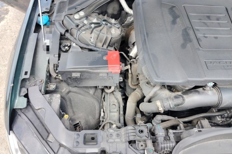 Used Jaguar XFL 2024 2.0T P250 Two-Wheel Drive Prestige Luxury Edition Engine Bay Right