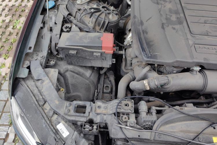 Used Jaguar XFL 2024 2.0T P300 Four-Wheel Drive Flagship Sport Gold Edition Engine Bay Right