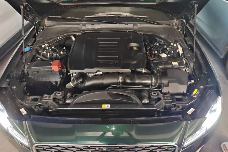 Used Jaguar XFL 2024 2.0T P250 Two-Wheel Drive Prestige Luxury Edition Engine Bay