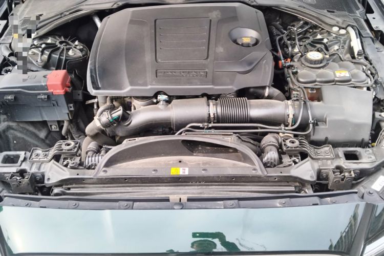 Used Jaguar XFL 2024 2.0T P250 Two-Wheel Drive Prestige Luxury Edition Engine Bay