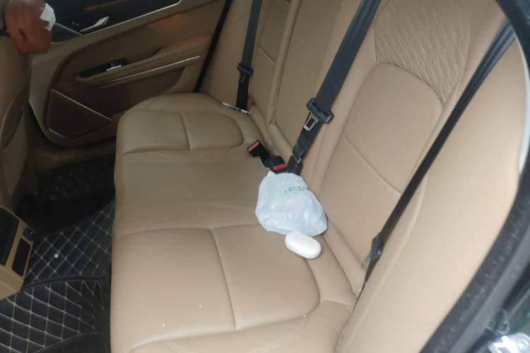 Used Jaguar XFL 2024 2.0T P250 Two-Wheel Drive Prestige Luxury Edition Left Rear Seat
