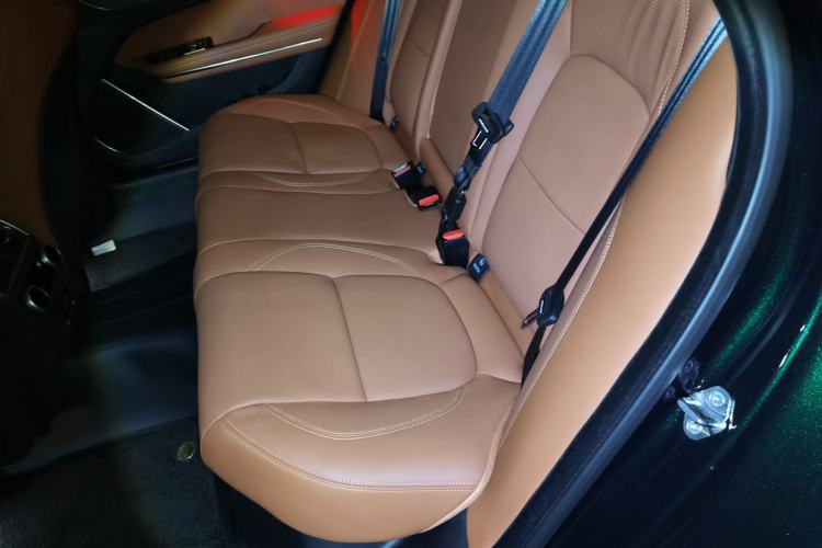 Used Jaguar XFL 2024 2.0T P300 Four-Wheel Drive Flagship Sport Gold Edition Left Rear Seat