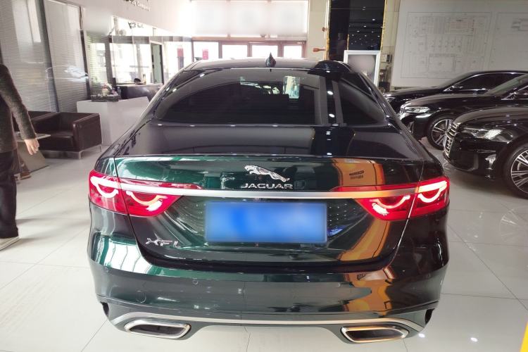 Used Jaguar XFL 2024 2.0T P250 Two-Wheel Drive Prestige Luxury Edition Rear