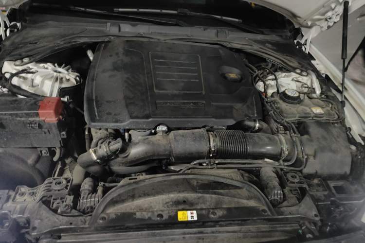 Used Jaguar XFL 2024 2.0T P300 Four-Wheel Drive Flagship Sport Gold Edition Engine Bay