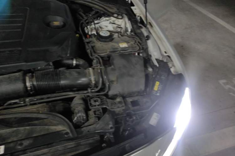 Used Jaguar XFL 2024 2.0T P300 Four-Wheel Drive Flagship Sport Gold Edition Engine Bay Left
