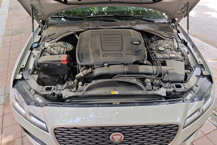 Used Jaguar XFL 2024 2.0T P250 Two-Wheel Drive Prestige Luxury Edition Engine Bay