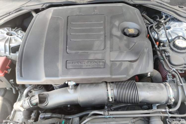 Used Jaguar XFL 2024 2.0T P250 Two-Wheel Drive Prestige Luxury Edition Engine Bay