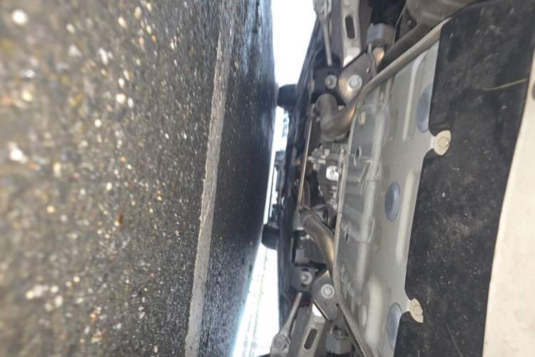 Used Jaguar XFL 2024 2.0T P300 Four-Wheel Drive Flagship Sport Gold Edition Chassis Rear