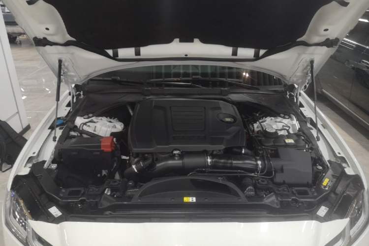 Used Jaguar XFL 2024 2.0T P300 Four-Wheel Drive Flagship Sport Gold Edition Engine Bay