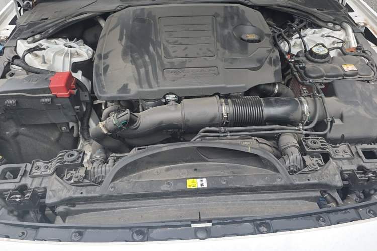 Used Jaguar XFL 2024 2.0T P300 Four-Wheel Drive Flagship Sport Gold Edition Engine Bay