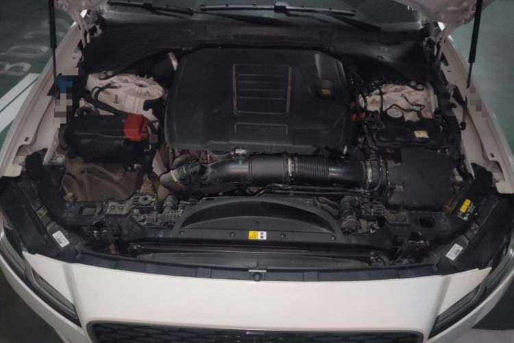 Used Jaguar XFL 2024 2.0T P250 Two-Wheel Drive Prestige Luxury Edition Engine Bay
