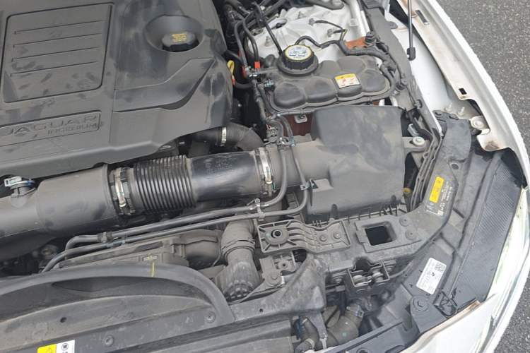 Used Jaguar XFL 2024 2.0T P300 Four-Wheel Drive Flagship Sport Gold Edition Engine Bay Left
