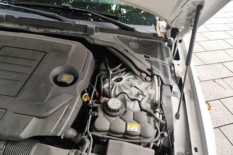Used Jaguar XFL 2024 2.0T P300 Four-Wheel Drive Flagship Sport Gold Edition Engine Bay Left