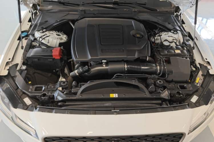 Used Jaguar XFL 2024 2.0T P300 Four-Wheel Drive Flagship Sport Gold Edition Engine Bay