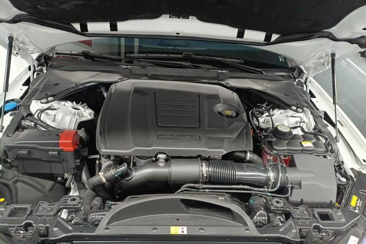 Used Jaguar XFL 2024 2.0T P300 Four-Wheel Drive Flagship Sport Gold Edition Engine Bay