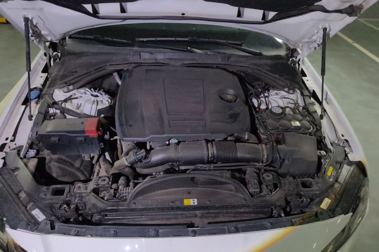 Used Jaguar XFL 2024 2.0T P250 Two-Wheel Drive Prestige Luxury Edition Engine Bay