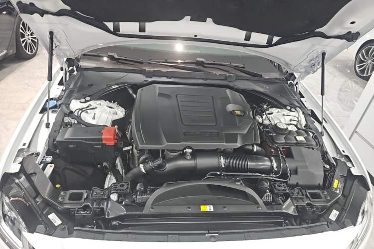 Used Jaguar XFL 2024 2.0T P250 Two-Wheel Drive Prestige Luxury Edition Engine Bay