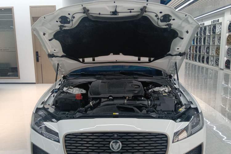 Used Jaguar XFL 2024 2.0T P300 Four-Wheel Drive Flagship Sport Gold Edition Engine Bay