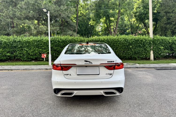 Used Jaguar XFL 2024 2.0T P300 Four-Wheel Drive Flagship Sport Gold Edition Exterior 3