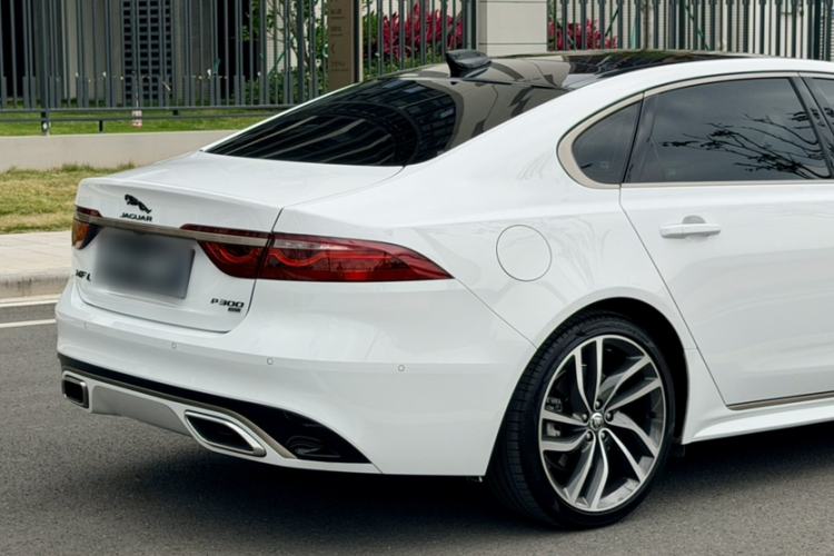 Used Jaguar XFL 2024 2.0T P300 Four-Wheel Drive Flagship Sport Gold Edition Exterior 7