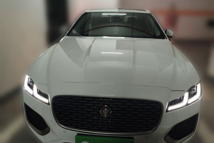 Used Jaguar XFL 2024 2.0T P250 Two-Wheel Drive Prestige Luxury Edition Front