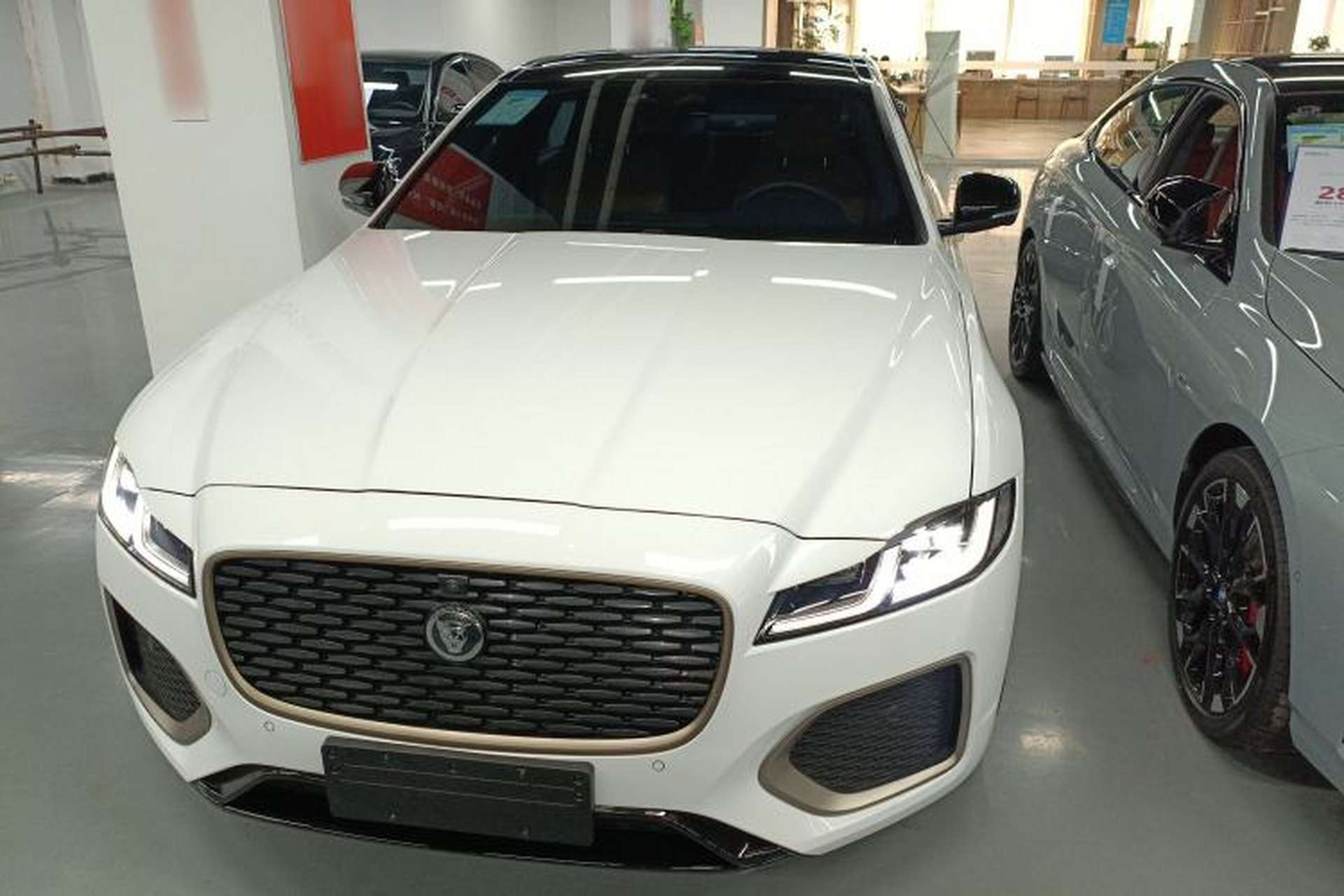 Used Jaguar XFL 2024 2.0T P300 Four-Wheel Drive Flagship Sport Gold Edition Front