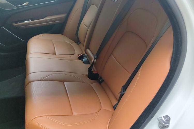 Used Jaguar XFL 2024 2.0T P300 Four-Wheel Drive Flagship Sport Gold Edition Left Rear Seat