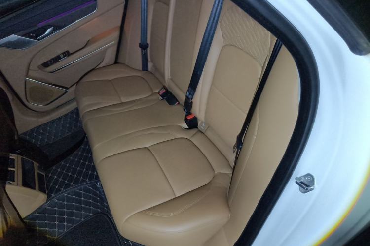 Used Jaguar XFL 2024 2.0T P250 Two-Wheel Drive Prestige Luxury Edition Left Rear Seat