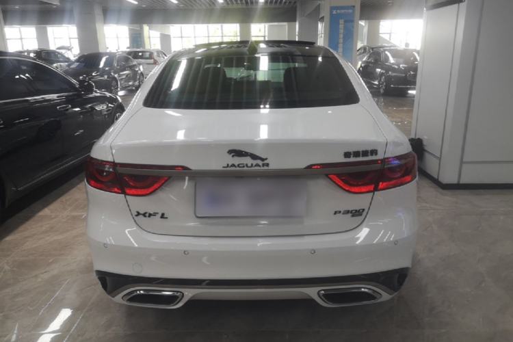 Used Jaguar XFL 2024 2.0T P300 Four-Wheel Drive Flagship Sport Gold Edition Rear