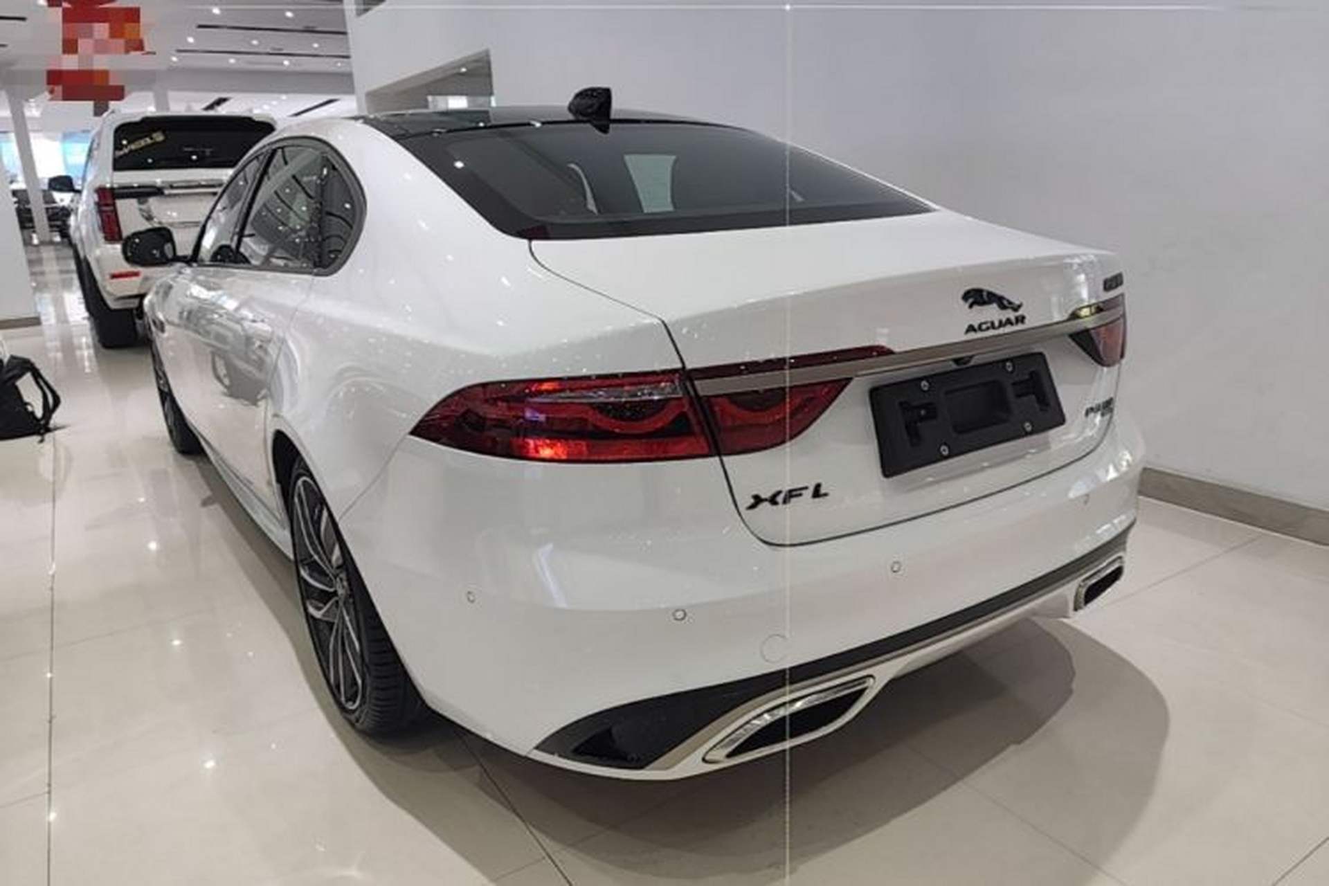 Used Jaguar XFL 2024 2.0T P300 Four-Wheel Drive Flagship Sport Gold Edition Rear Left 45 Deg