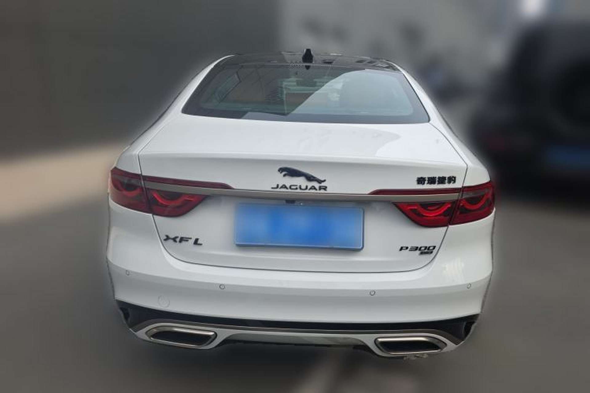 Used Jaguar XFL 2024 2.0T P300 Four-Wheel Drive Flagship Sport Gold Edition Rear