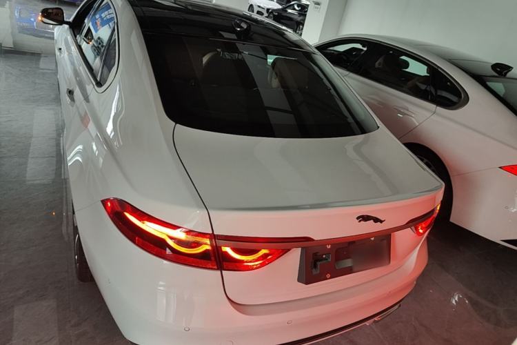 Used Jaguar XFL 2024 2.0T P300 Four-Wheel Drive Flagship Sport Gold Edition Rear